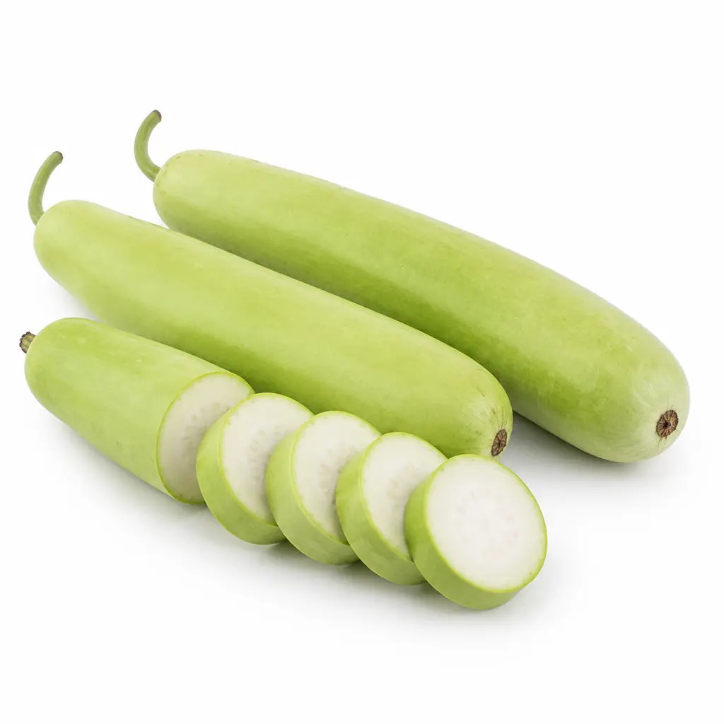 BOTTLE GOURD
