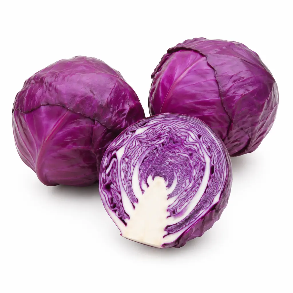 Fresh Cabbage Colour (ஊதா முட்டைக்கோஸ்)