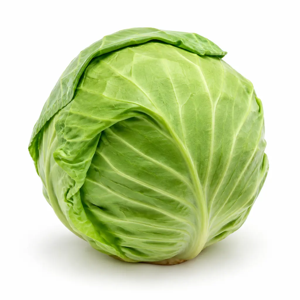 CABBAGE