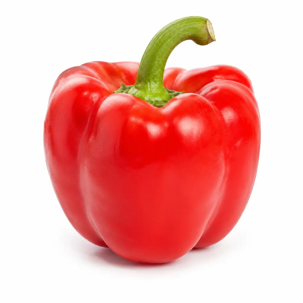 CAPSICUM RED