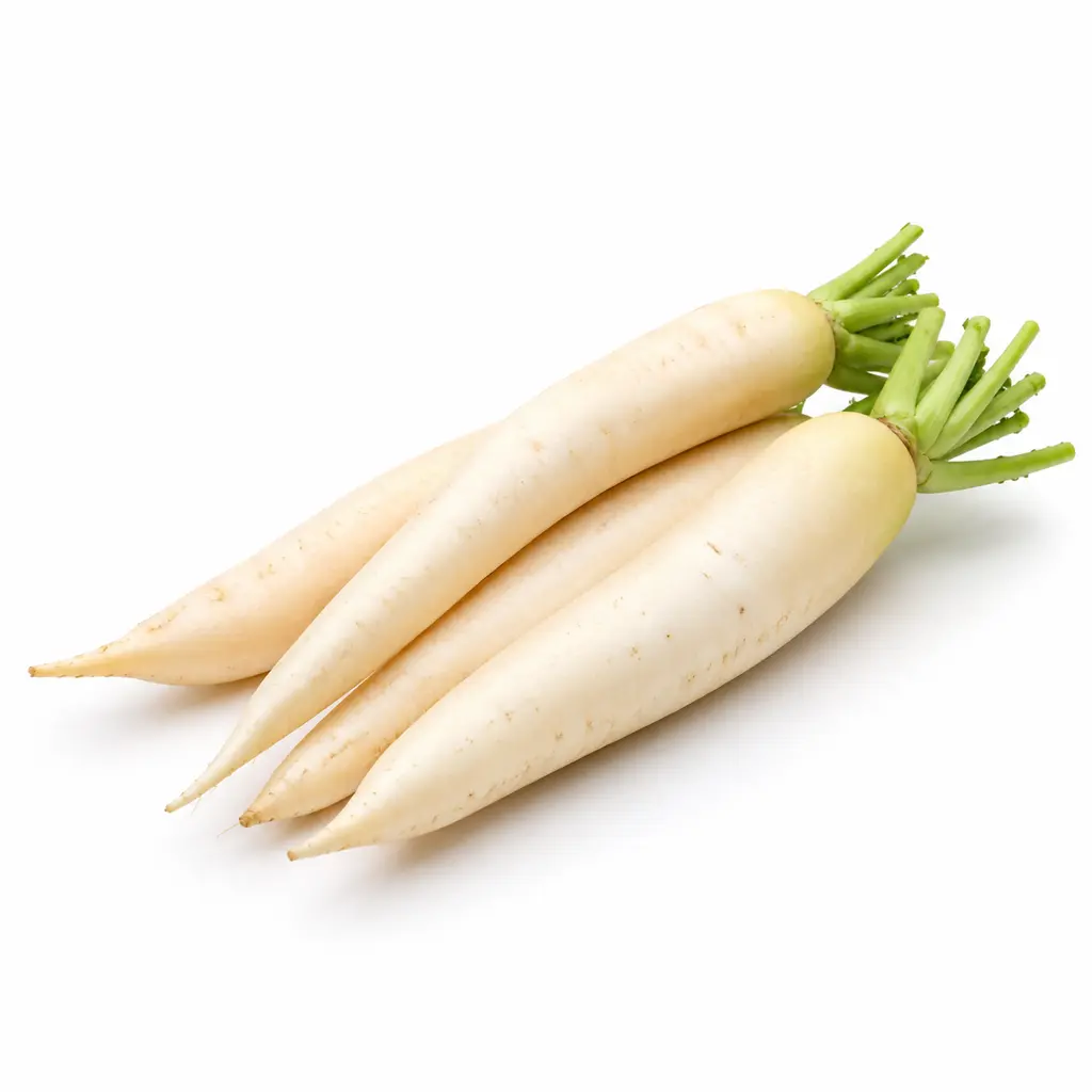 RADISH WHITE